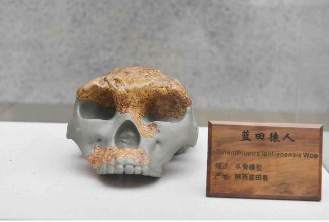 ​山海经有什么奇花异草（胆小勿入这些人头骨） 第4张