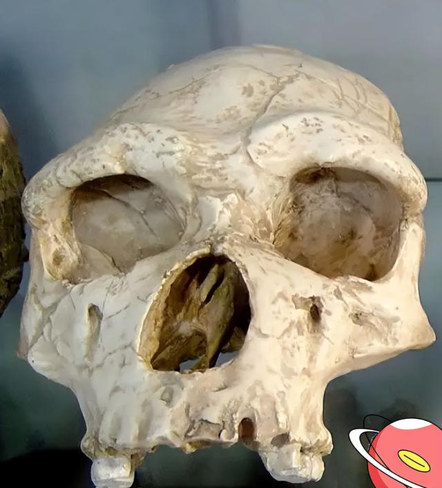 ​山海经有什么奇花异草（胆小勿入这些人头骨） 第10张