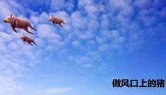 霸王洗发水有哪几类(霸王洗发水再度) 第8张 霸王洗发水有哪几类(霸王洗发水再度) 第8张