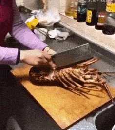 32张超级搞笑图片集,保证让你笑破肚皮!尤其是倒数第二张! 第29张 32张超级搞笑图片集,保证让你笑破肚皮!尤其是倒数第二张! 第29张