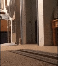 32张超级搞笑图片集,保证让你笑破肚皮!尤其是倒数第二张! 第18张 32张超级搞笑图片集,保证让你笑破肚皮!尤其是倒数第二张! 第18张