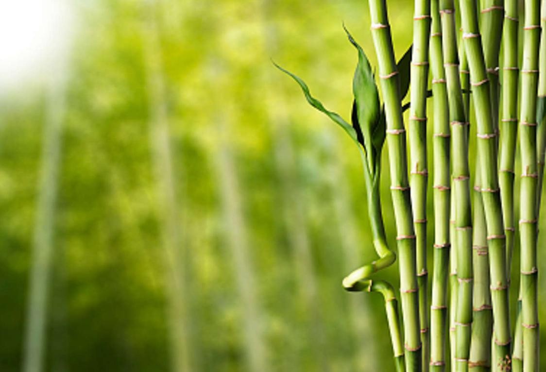 不起眼的暴利项目 :人们少不了它,年入30-50万实在太香了! 第3张 不起眼的暴利项目 :人们少不了它,年入30-50万实在太香了! 第3张