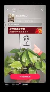 视频号直播如何进行镜像 第2张 视频号直播如何进行镜像 第2张