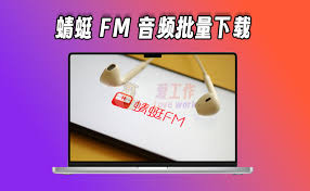 蜻蜓FM音频如何下载到本地 第2张 蜻蜓FM音频如何下载到本地 第2张