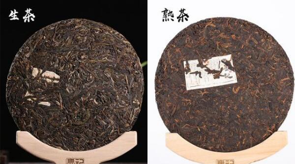 ​普洱生茶和熟茶的辨别，夏喝生普清热减胖（冬饮熟普促安置） 第1张