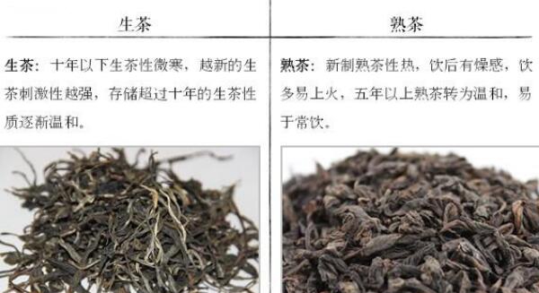 ​普洱生茶和熟茶的辨别，夏喝生普清热减胖（冬饮熟普促安置） 第5张