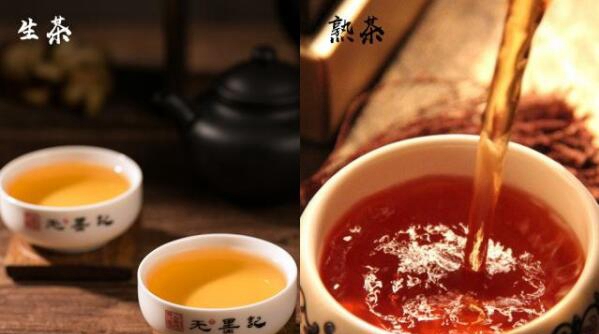 ​普洱生茶和熟茶的辨别，夏喝生普清热减胖（冬饮熟普促安置） 第3张