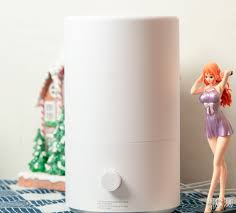 使用加湿器时怎样操作对身体有益 第3张 使用加湿器时怎样操作对身体有益 第3张