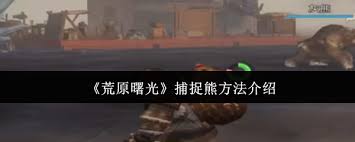 荒原曙光如何浇水 第3张 荒原曙光如何浇水 第3张