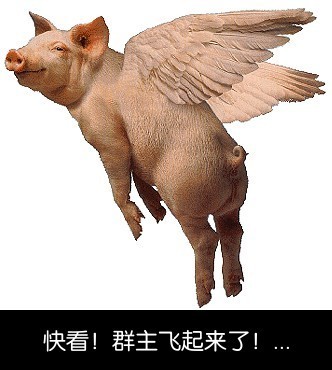 ​关于猪的表情包合集 第6张