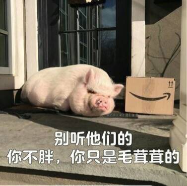 ​关于猪的表情包合集 第2张