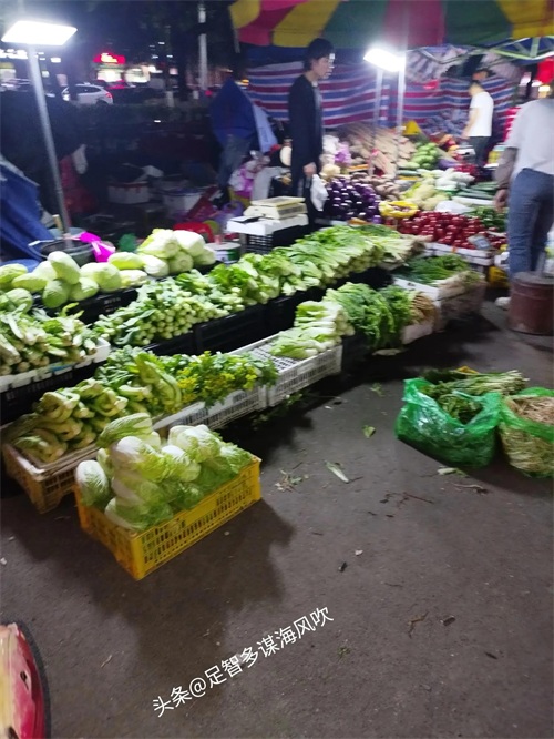 ​不起眼的贩菜摊阿姐月收入2万！ 第3张