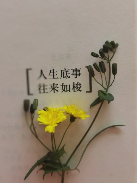 ​砥砺奋进笃行致远：深解其内在精神与实践意义 第3张