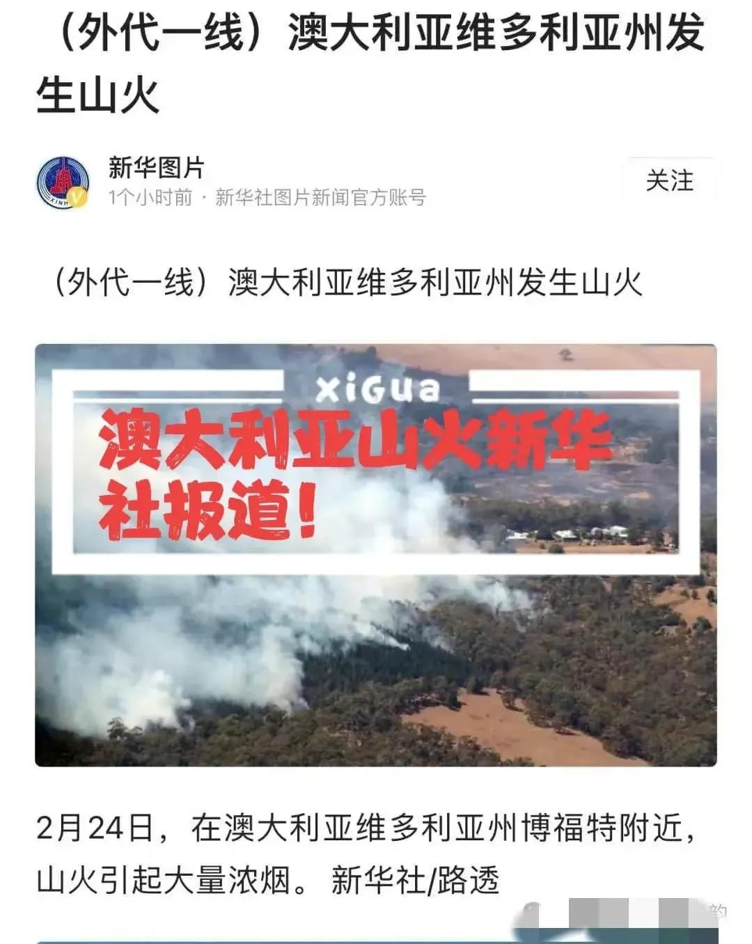 ​闹大了！澳大利亚也发生山火了！央视新华社等国内媒体抢着报道！ 第5张