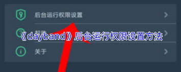 dayband如何设置后台权限 第1张