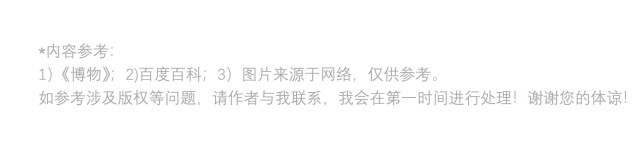 ​会“针灸”的草蛉，你知道吗？ 第7张