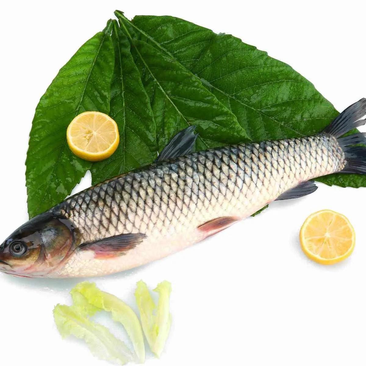 年夜饭上吃什么鱼寓意最好?选这5种鱼,寓意吉祥还好吃 第2张 年夜饭上吃什么鱼寓意最好?选这5种鱼,寓意吉祥还好吃 第2张