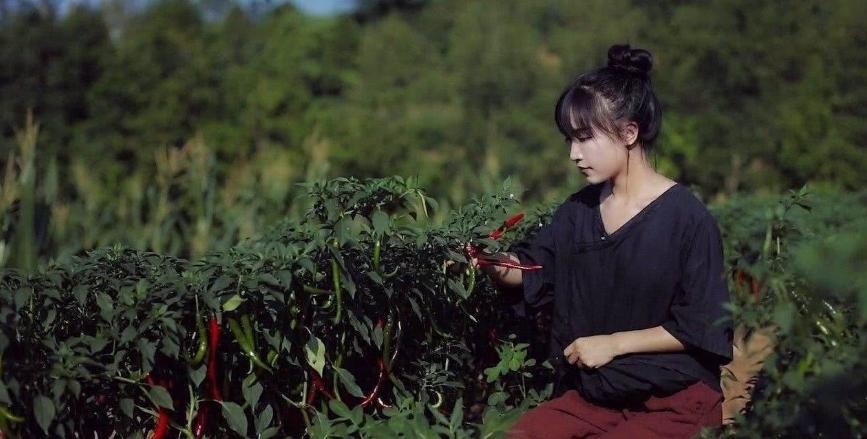 ​李子柒做DJ时的旧照，和现在判若两人，网友：姐姐好帅 第5张