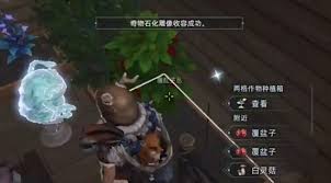 荒原曙光如何收容石化雕像 第1张