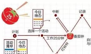 滴答清单如何高效使用标签分类 第1张