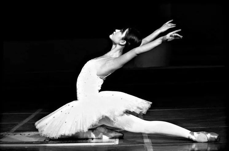 ​杜鹃美得动人，自带美艳高冷范，却让人忍不住靠近 第2张