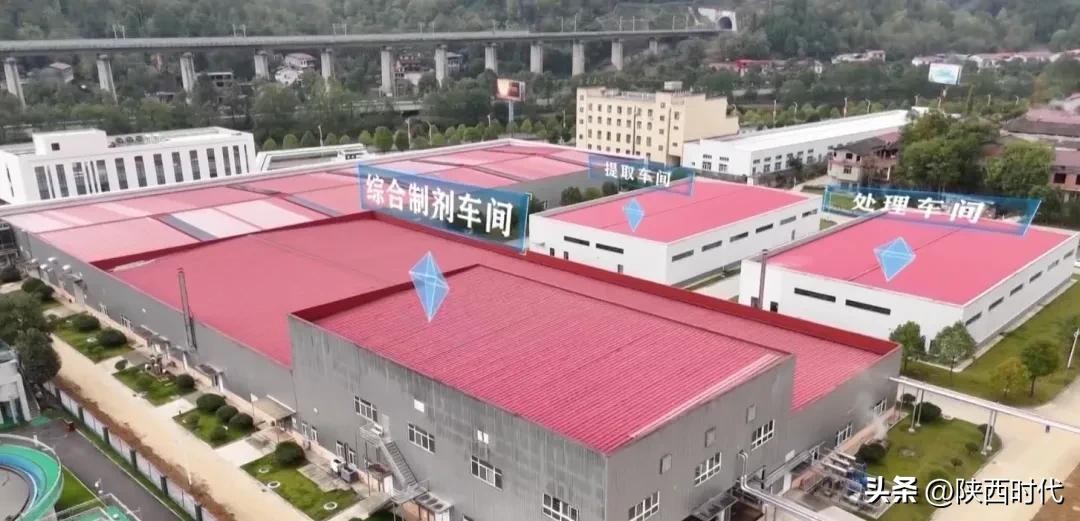 ​宁强：以项目建设“加速度”决胜全年目标“收官战” 第2张